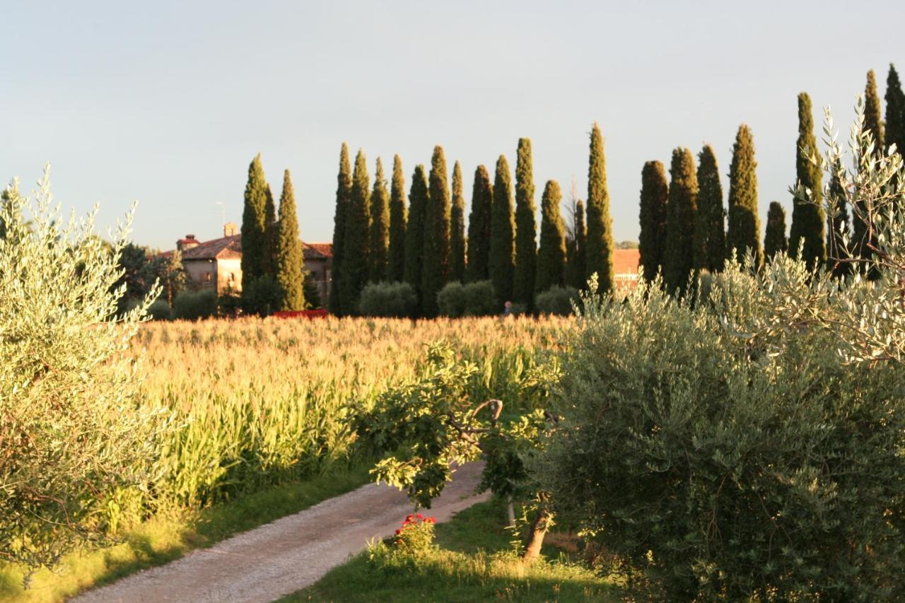 Bed and Breakfast Ca Donzella Lazise Exteriér fotografie